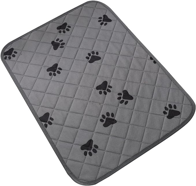 PetDry - Tapete absorbente para perros