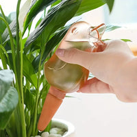 Riego Automatico para Plantas | 5 UNIDADES