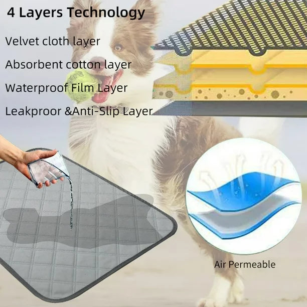 PetDry - Tapete absorbente para perros