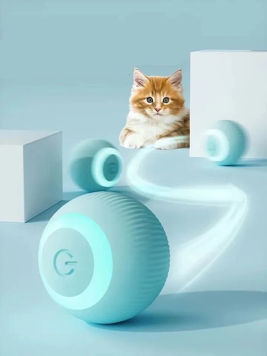 PetPlay - Pelota inteligente para gatos y perros