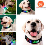 Luminicollar - Collar inteligente para perros