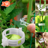 NaturClip - Asegurador de Plantas | 100 UNIDADES