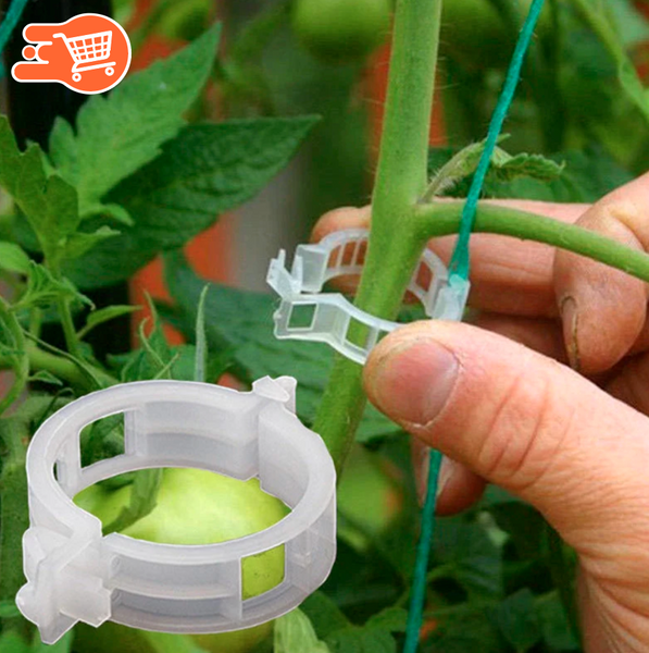 NaturClip - Asegurador de Plantas | 100 UNIDADES