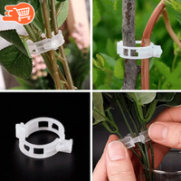 NaturClip - Asegurador de Plantas | 100 UNIDADES