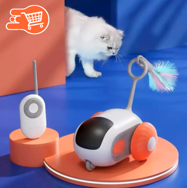 AmigoPet | Robot para Mascotas