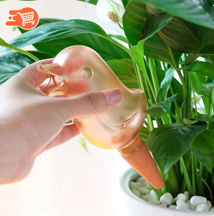 Riego Automatico para Plantas | 5 UNIDADES