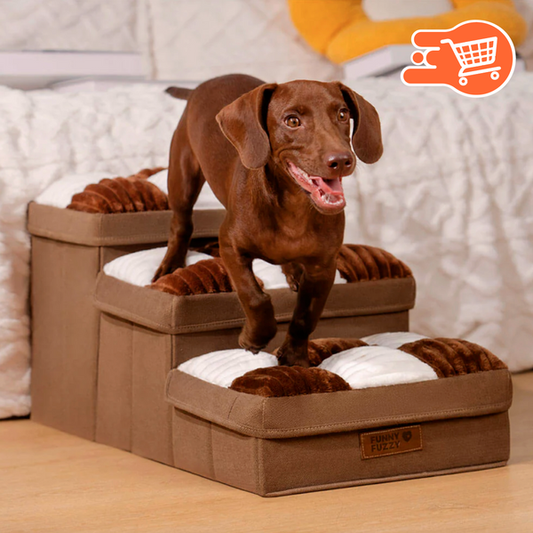 SubeFacil Pets | Escalera Mascotas
