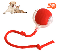 CazaBola Pro | Bola Interactiva