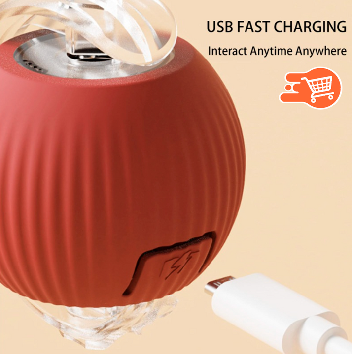 CazaBola Pro | Bola Interactiva