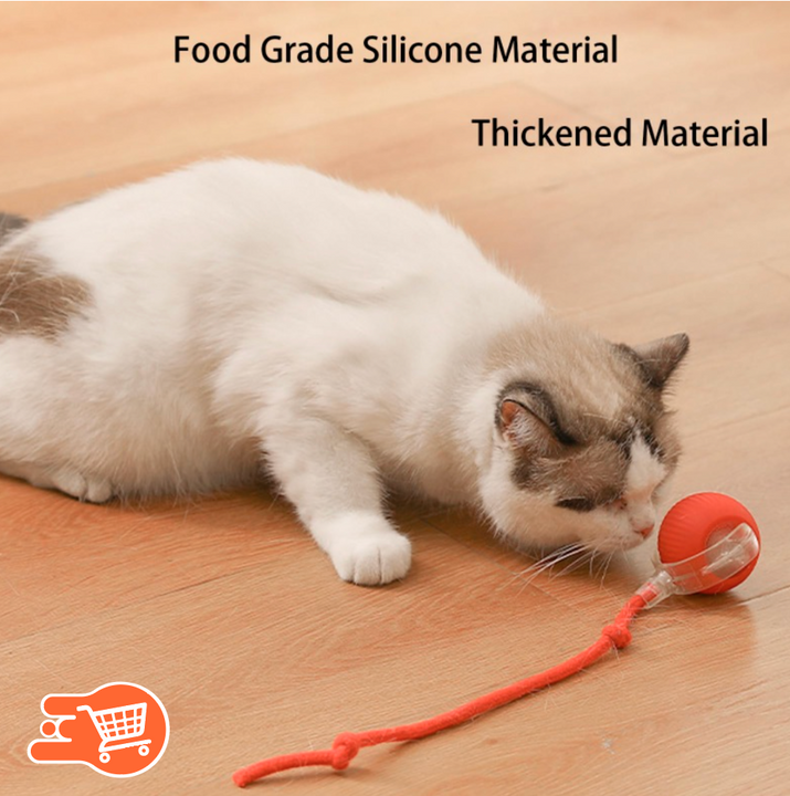 CazaBola Pro | Bola Interactiva