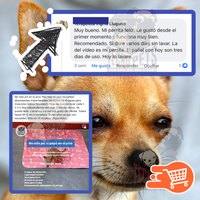 AbsorbePet | Tapete Abosrbente