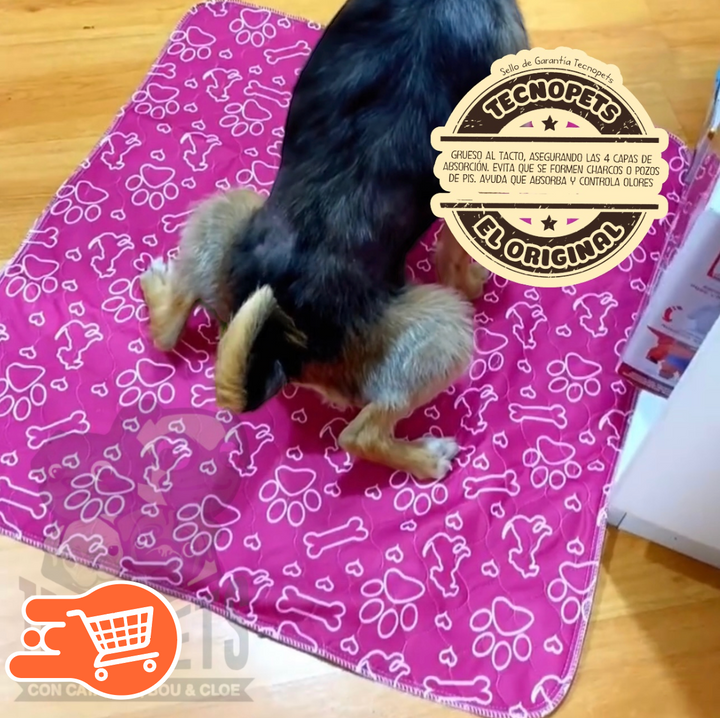 AbsorbePet | Tapete Abosrbente
