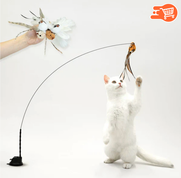 Juguete interactivo para gatos | 2 UNIDADES