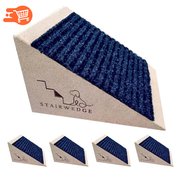 Rampa para perros pequeños