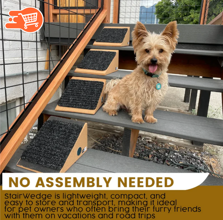 Rampa para perros pequeños