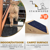 Rampa para perros pequeños