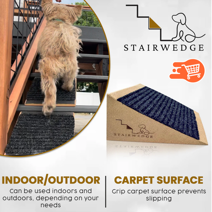 Rampa para perros pequeños