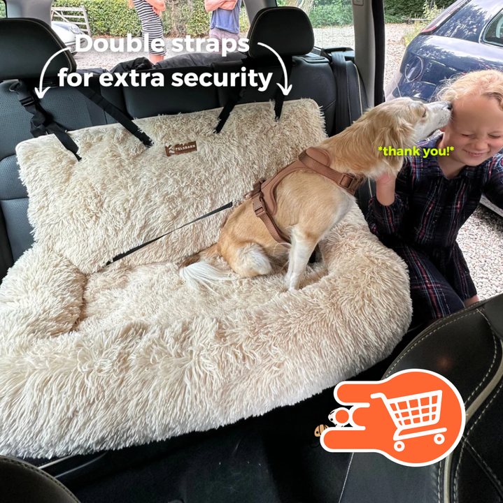 Silla de carro para mascotas