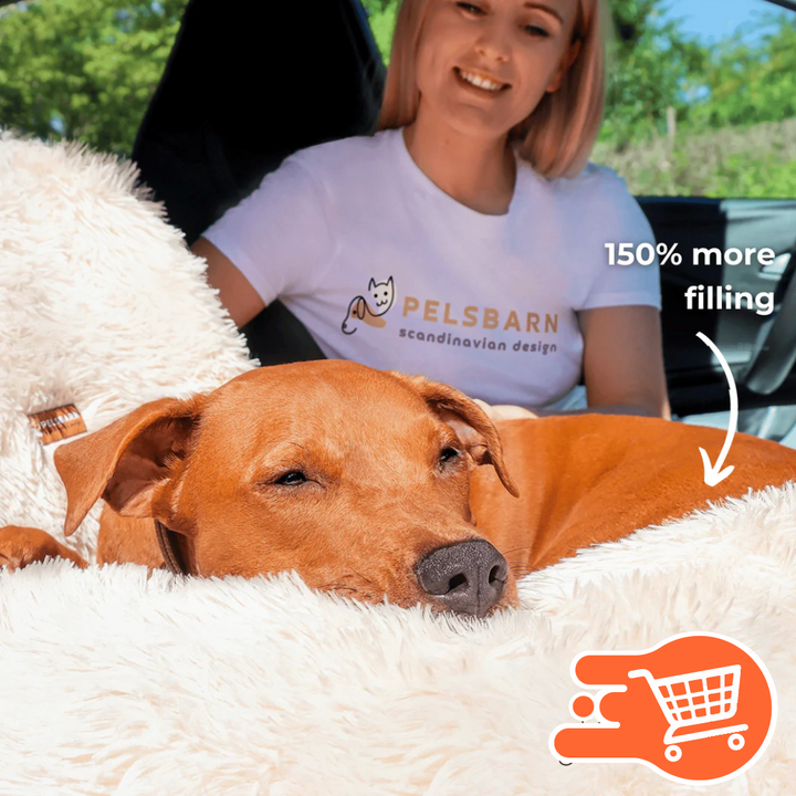 Silla de carro para mascotas