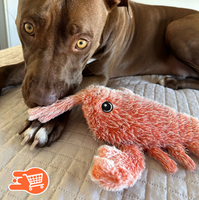 Langosta interactiva para perros