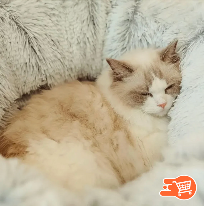 Cama túnel para mascotas