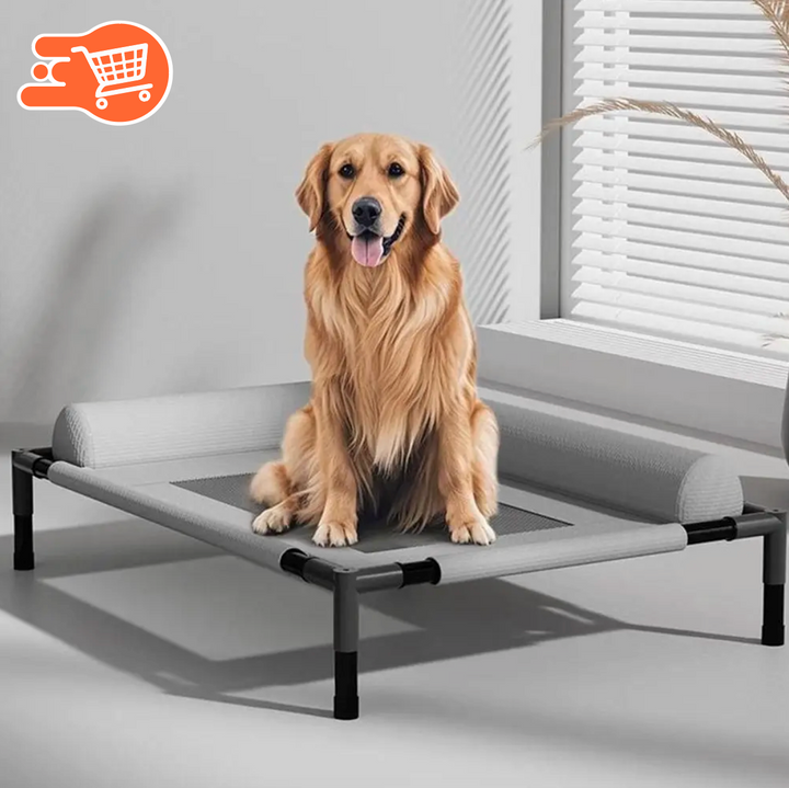 Cama elevada para mascotas
