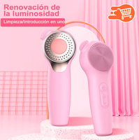 Alyfini - Cepillo de limpieza facial