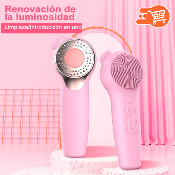 Alyfini - Cepillo de limpieza facial