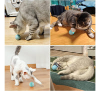 PetPlay - Pelota inteligente para gatos y perros