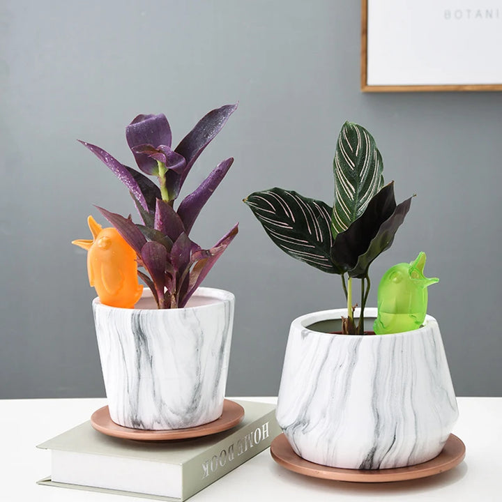 Riego Automatico para Plantas | 5 UNIDADES