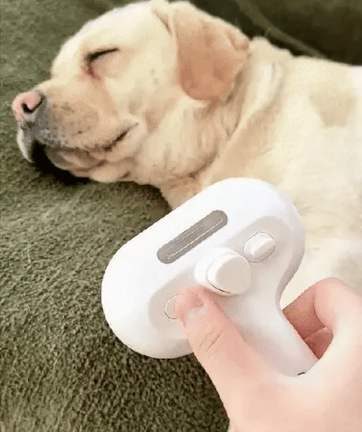 Cepillo Vapor Mascotas