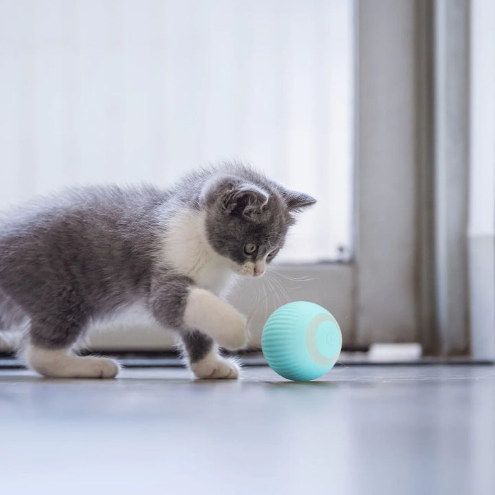 PetPlay - Pelota inteligente para gatos y perros