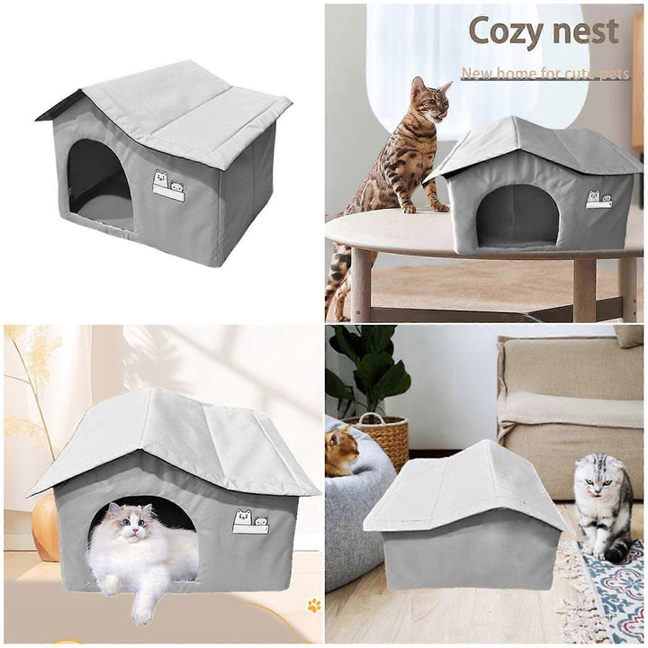 Cama de hielo gato