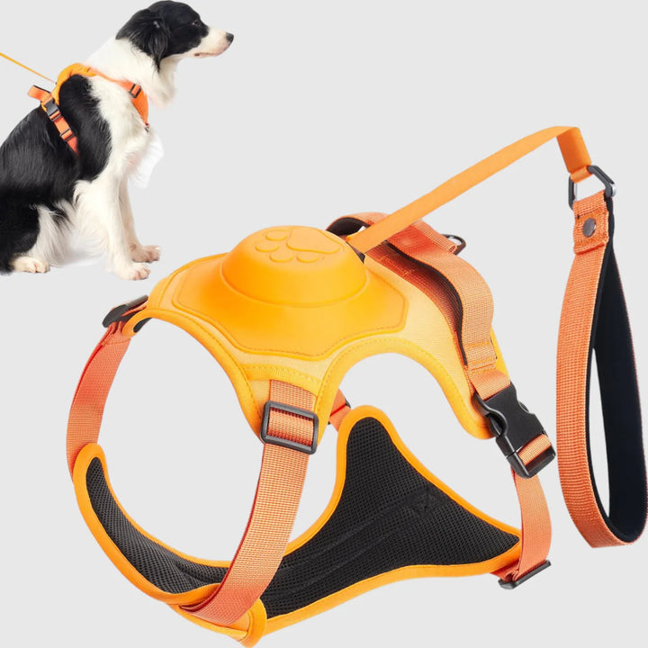 Arnés para perros DoggyKing