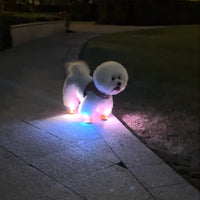Zapatos Chewie Viral Lights