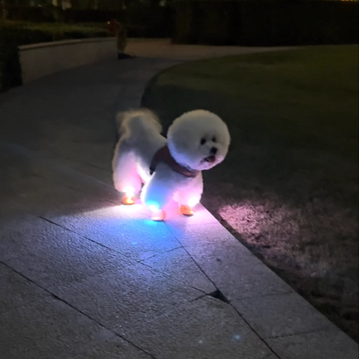 Zapatos Chewie Viral Lights