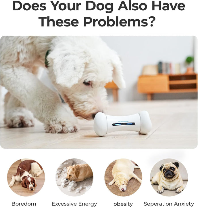 Juguete interactivo para perros Cheerble Wickedbone