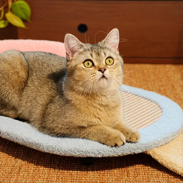 Sofá cama rascador para gatos