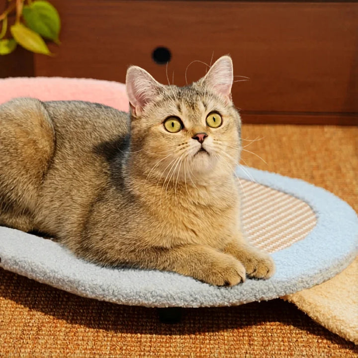 Sofá cama rascador para gatos