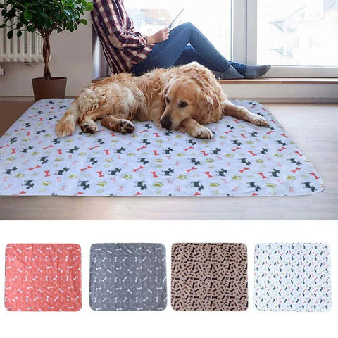 AbsorbePet | Tapete Abosrbente