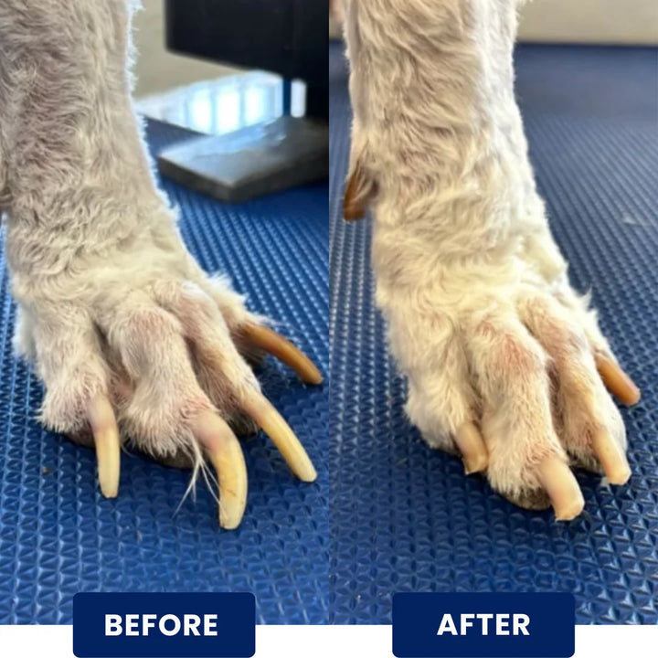 Tablero giratorio 3 en 1 para rascar uñas de perro
