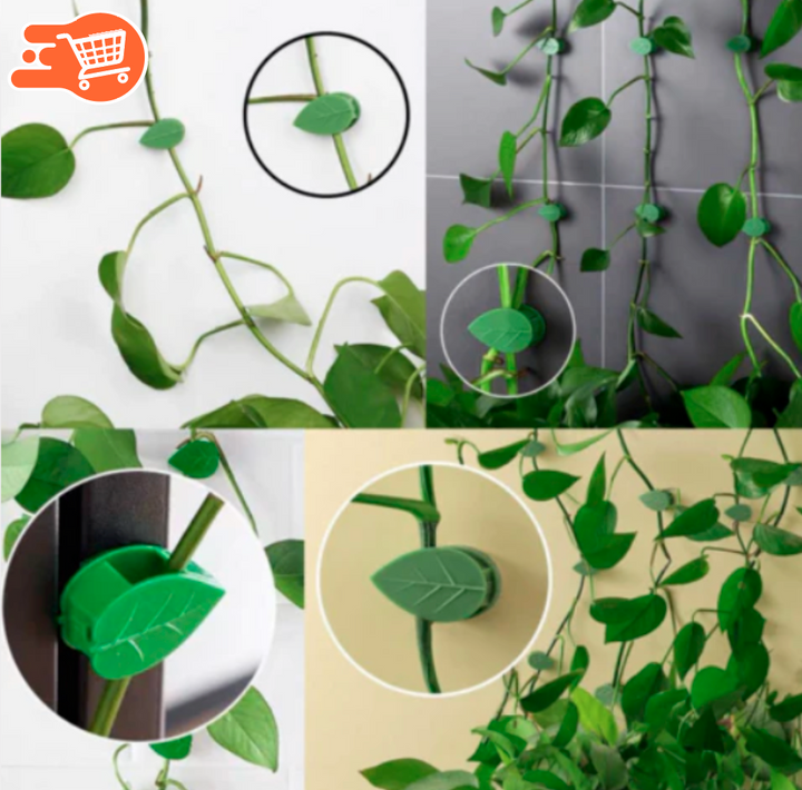 Pinzas para Organizar Plantas | 60 UNIDADES