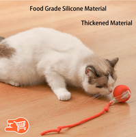 CazaBola Pro | Bola Interactiva