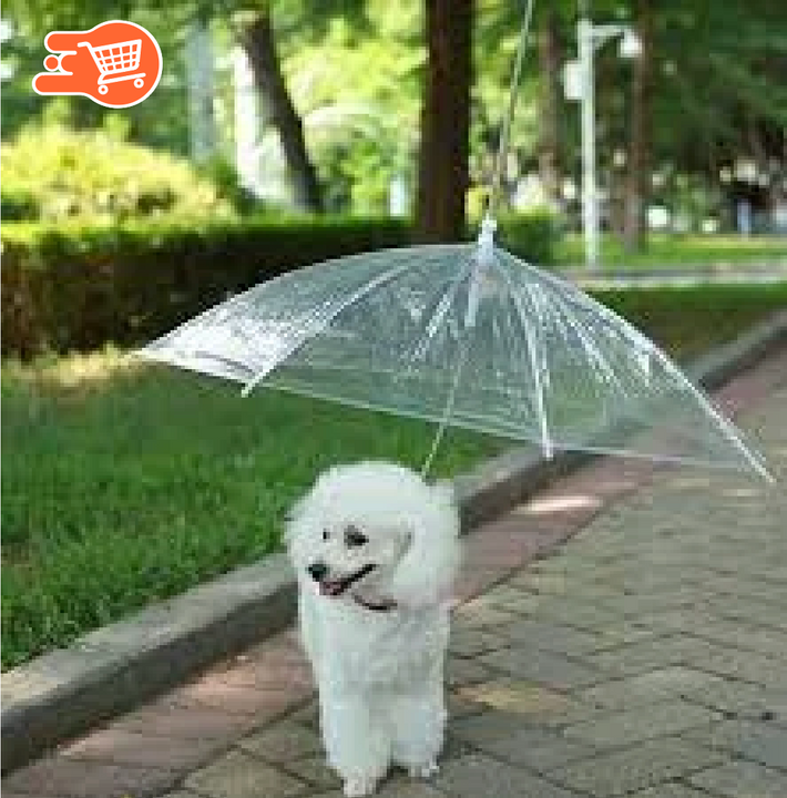 PetParasol