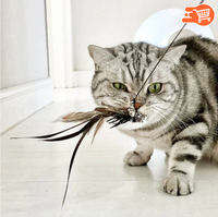 Juguete interactivo para gatos | 2 UNIDADES