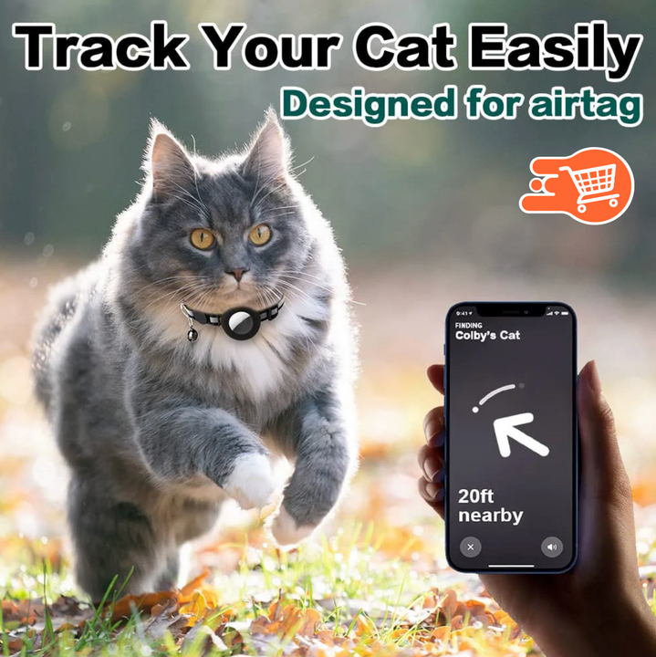 Collar localizador para mascotas