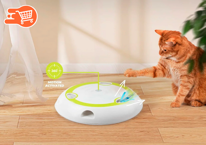 Juguetes interactivos para gatos