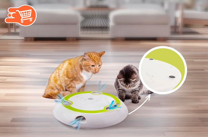 Juguetes interactivos para gatos