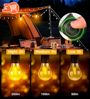 SET Bombilla LED recargable con clip -  7 Metros