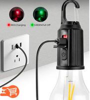 SET Bombilla LED recargable con clip -  7 Metros